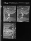 Unknown group's 50th Anniversary (3 Negatives (October 2, 1954) [Sleeve 5, Folder b, Box 5]